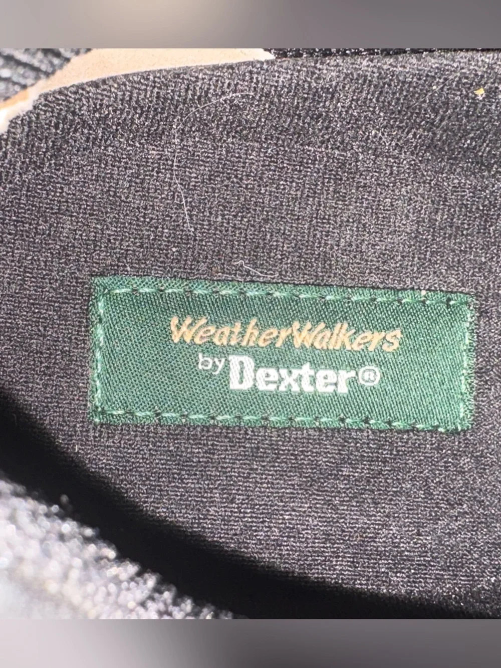 Dexter Black Leather Oxford Shoes